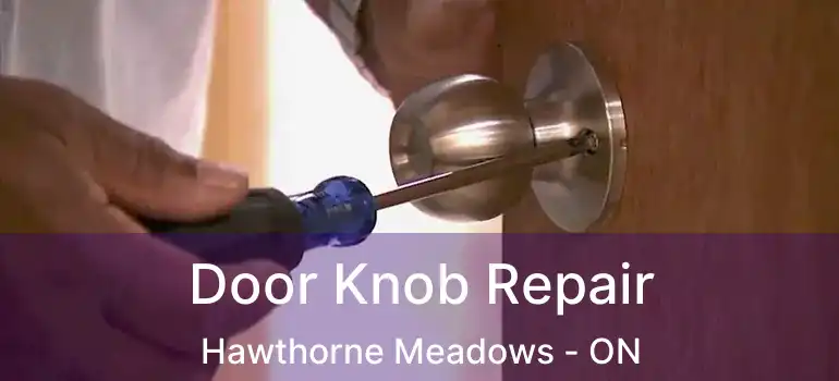  Door Knob Repair Hawthorne Meadows - ON