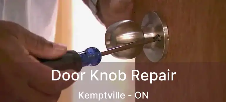  Door Knob Repair Kemptville - ON