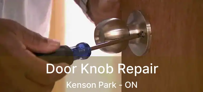  Door Knob Repair Kenson Park - ON