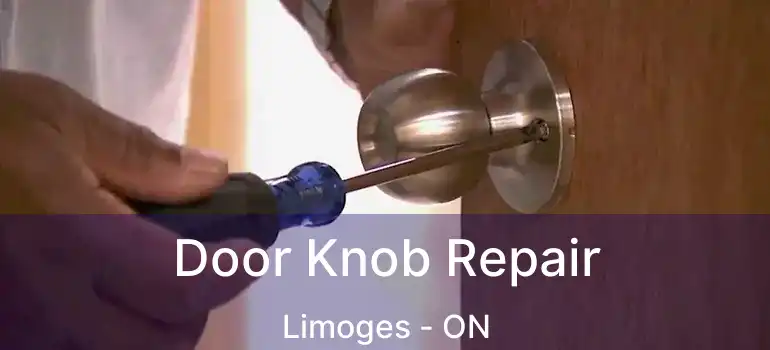  Door Knob Repair Limoges - ON