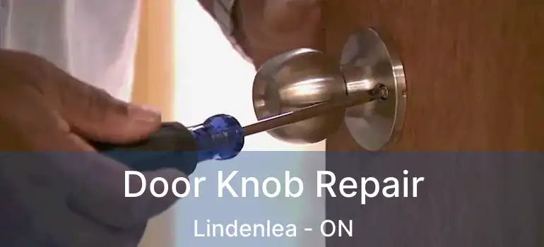  Door Knob Repair Lindenlea - ON