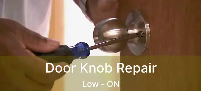  Door Knob Repair Low - ON