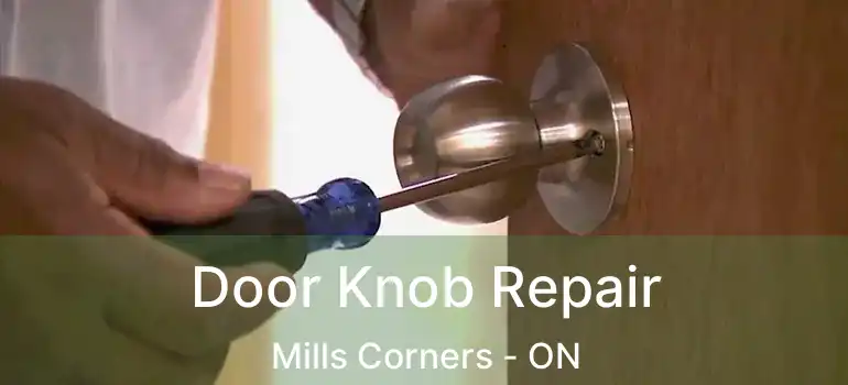  Door Knob Repair Mills Corners - ON