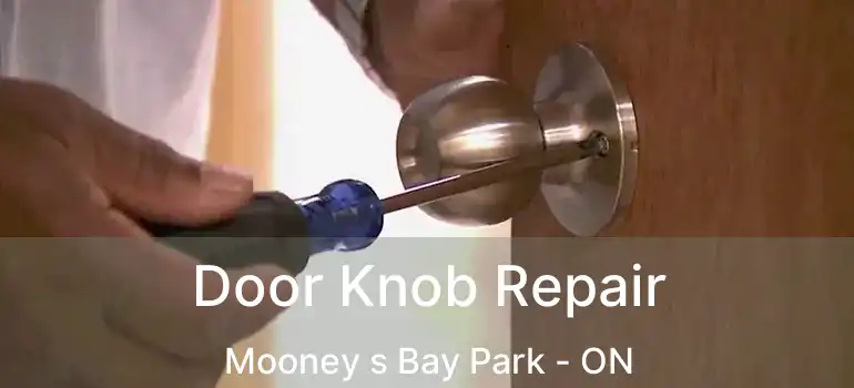  Door Knob Repair Mooney s Bay Park - ON