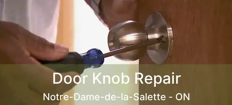  Door Knob Repair Notre-Dame-de-la-Salette - ON