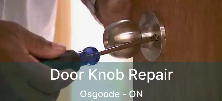  Door Knob Repair Osgoode - ON