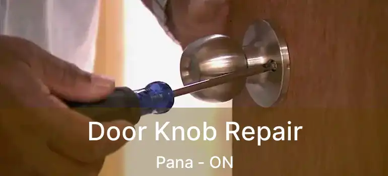  Door Knob Repair Pana - ON