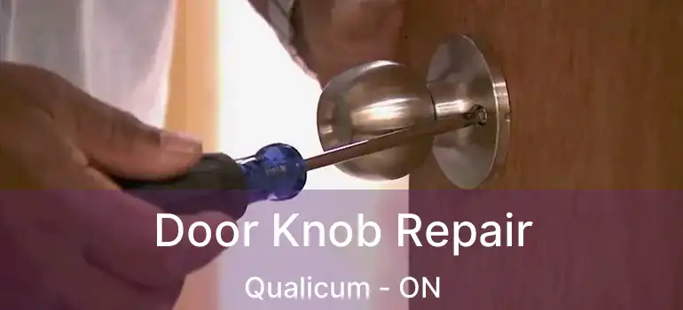  Door Knob Repair Qualicum - ON