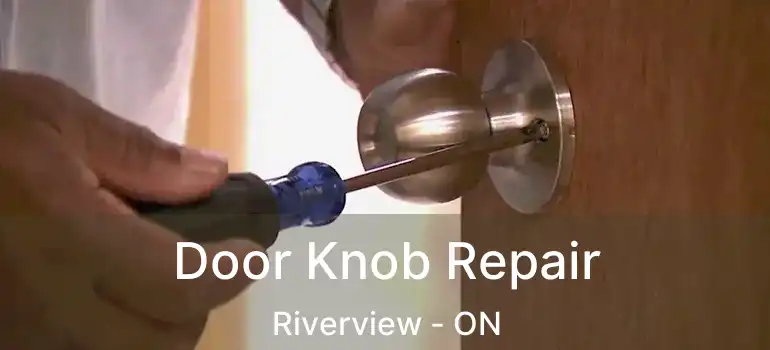  Door Knob Repair Riverview - ON