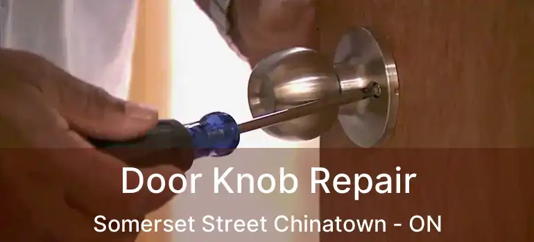  Door Knob Repair Somerset Street Chinatown - ON