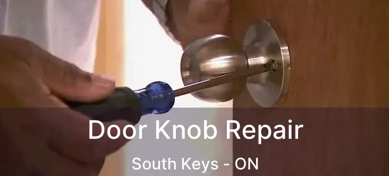  Door Knob Repair South Keys - ON