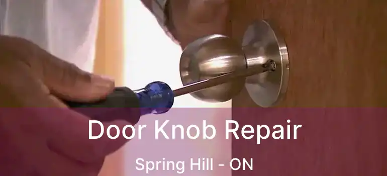  Door Knob Repair Spring Hill - ON