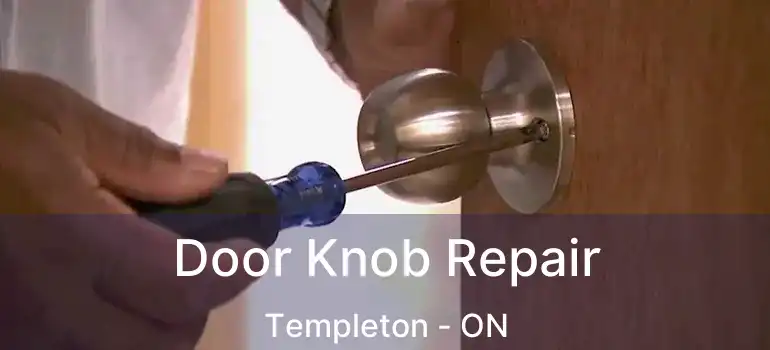  Door Knob Repair Templeton - ON