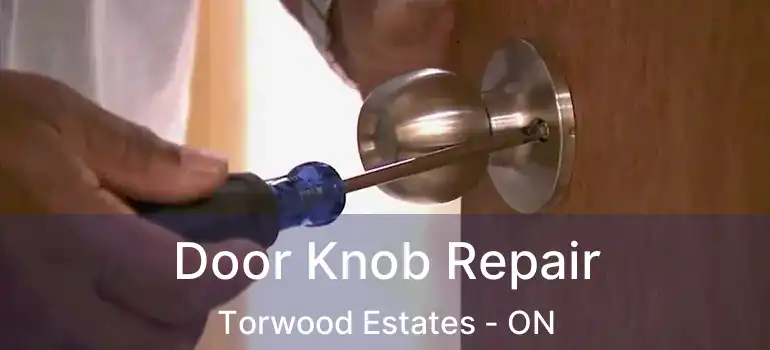  Door Knob Repair Torwood Estates - ON