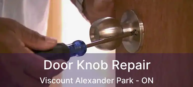  Door Knob Repair Viscount Alexander Park - ON