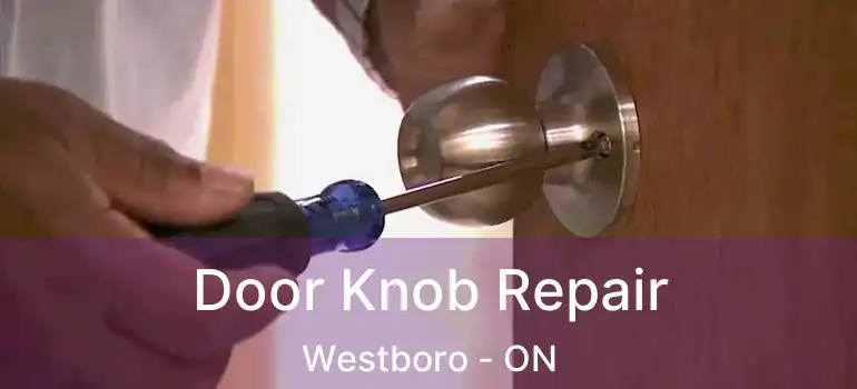  Door Knob Repair Westboro - ON