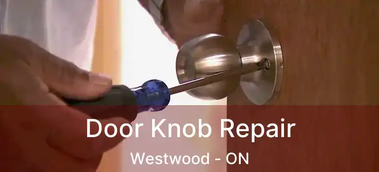  Door Knob Repair Westwood - ON