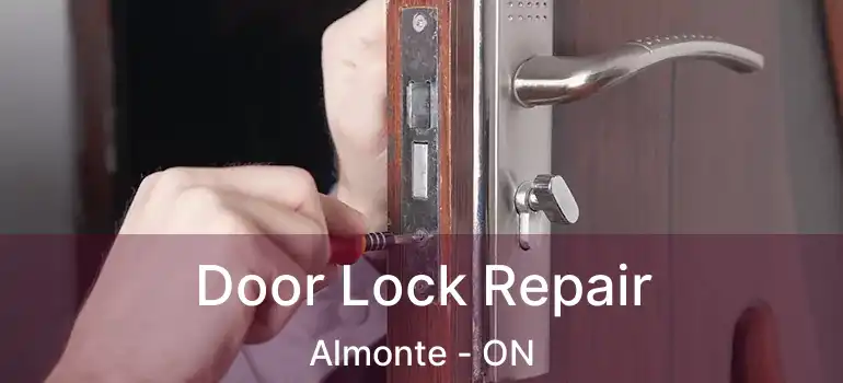  Door Lock Repair Almonte - ON