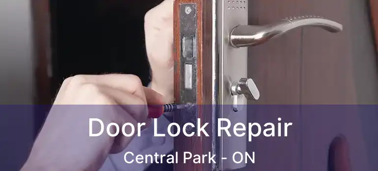  Door Lock Repair Central Park - ON