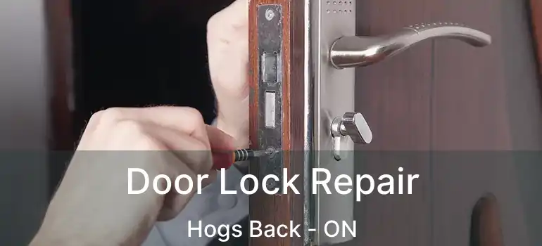  Door Lock Repair Hogs Back - ON