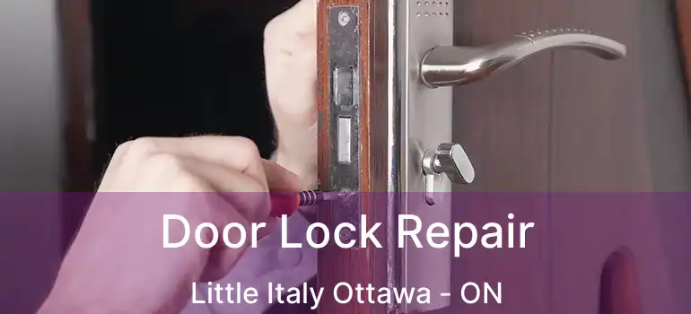  Door Lock Repair Little Italy Ottawa - ON