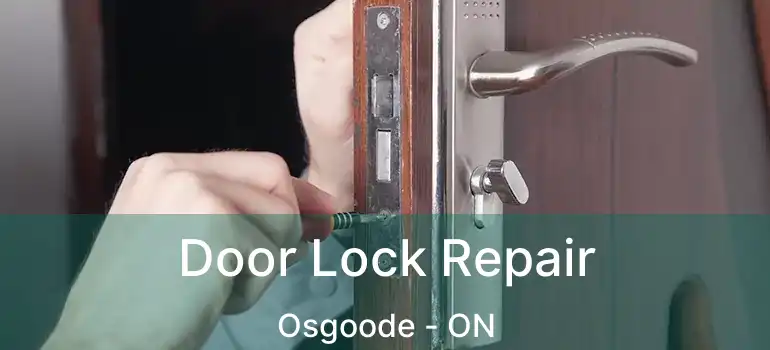  Door Lock Repair Osgoode - ON