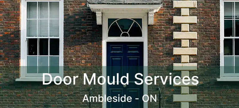  Door Mould Services Ambleside - ON