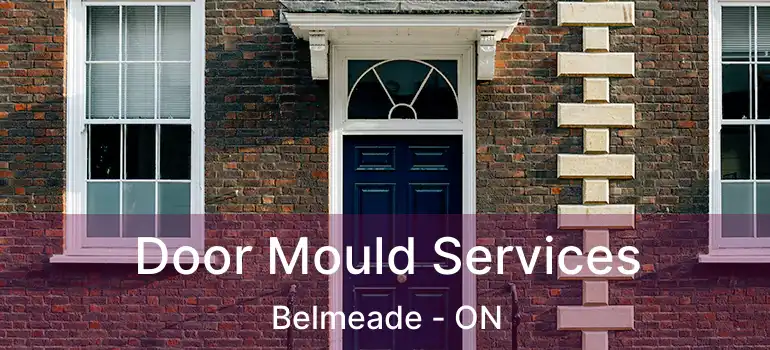  Door Mould Services Belmeade - ON