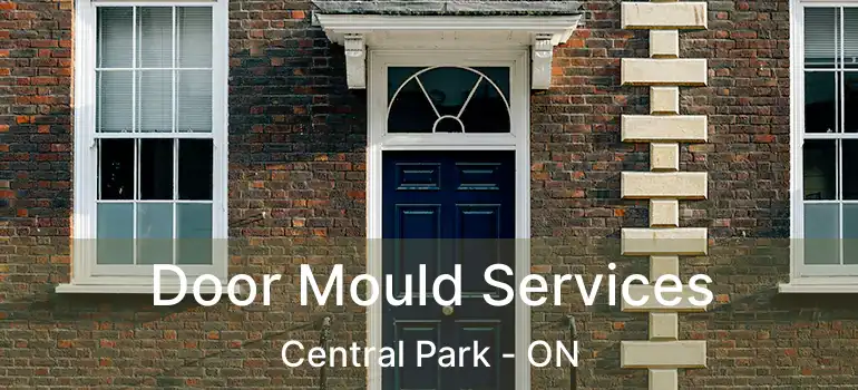  Door Mould Services Central Park - ON