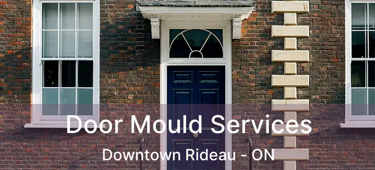  Door Mould Services Downtown Rideau - ON