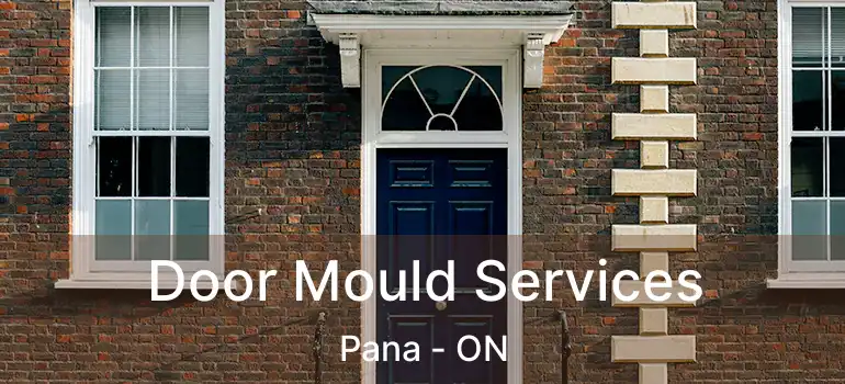  Door Mould Services Pana - ON