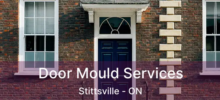  Door Mould Services Stittsville - ON