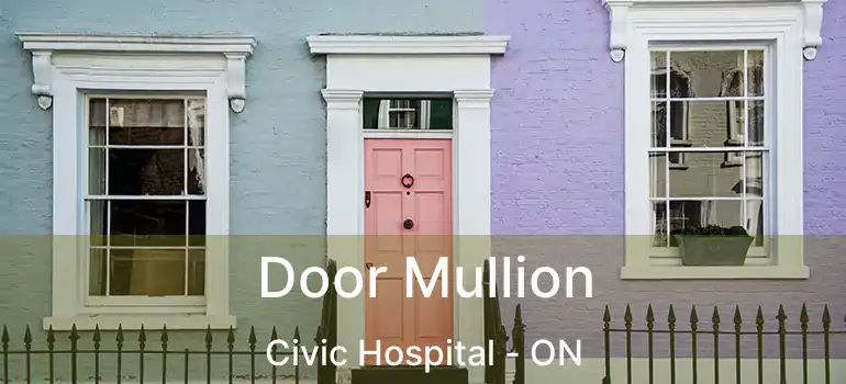  Door Mullion Civic Hospital - ON