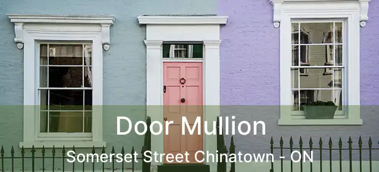  Door Mullion Somerset Street Chinatown - ON