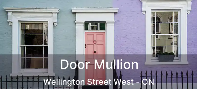  Door Mullion Wellington Street West - ON