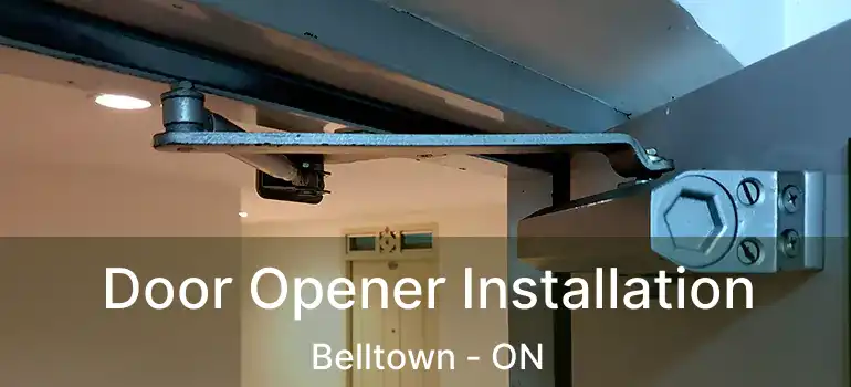  Door Opener Installation Belltown - ON