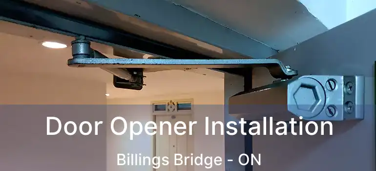  Door Opener Installation Billings Bridge - ON