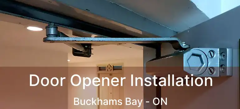  Door Opener Installation Buckhams Bay - ON