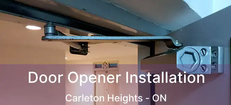  Door Opener Installation Carleton Heights - ON