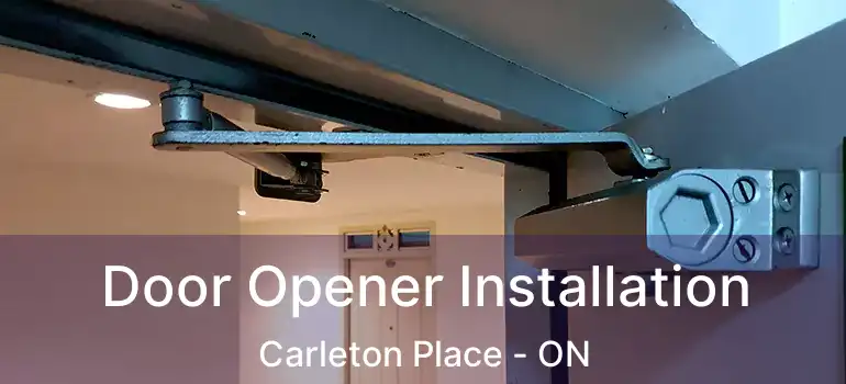  Door Opener Installation Carleton Place - ON