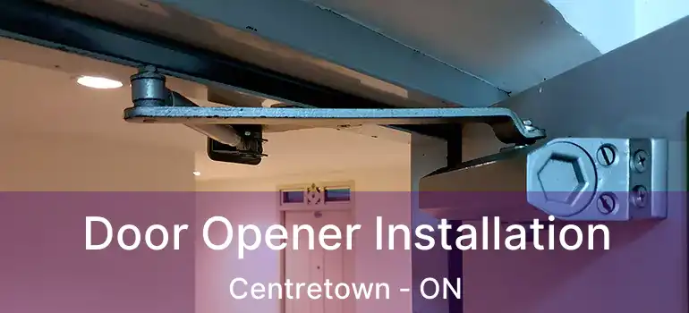  Door Opener Installation Centretown - ON