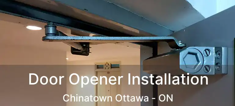  Door Opener Installation Chinatown Ottawa - ON