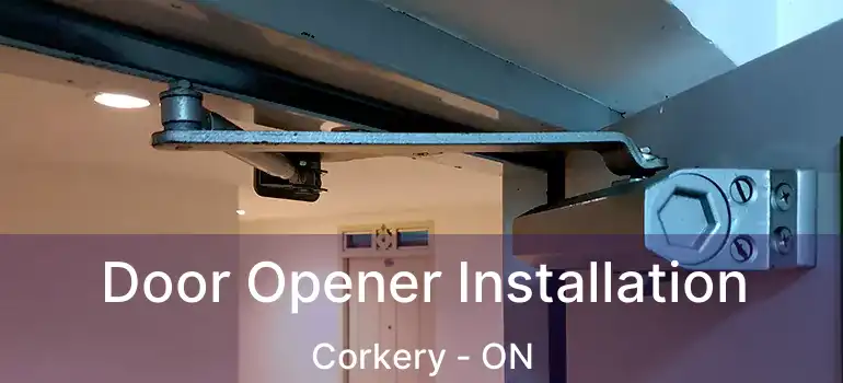  Door Opener Installation Corkery - ON