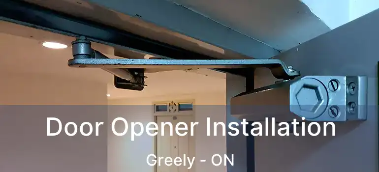  Door Opener Installation Greely - ON