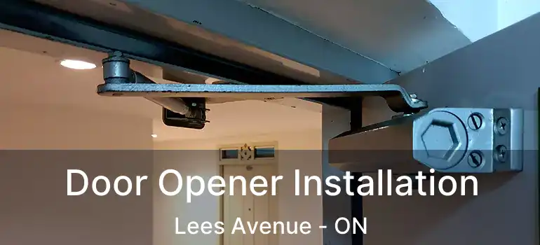  Door Opener Installation Lees Avenue - ON