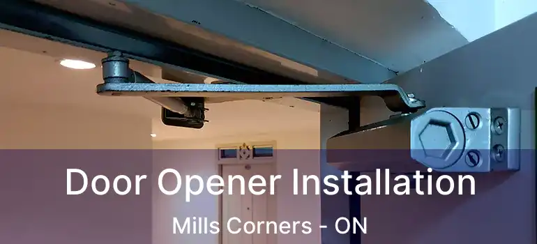  Door Opener Installation Mills Corners - ON