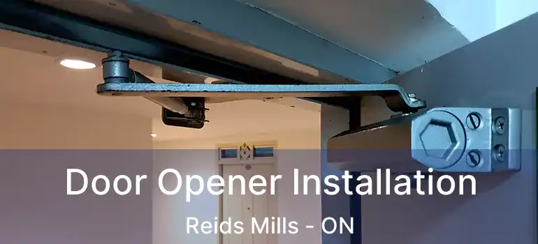  Door Opener Installation Reids Mills - ON