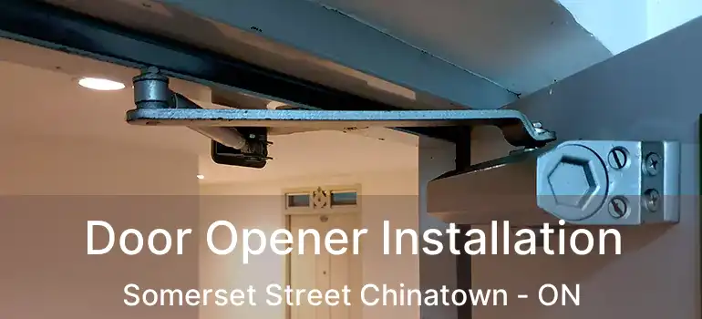  Door Opener Installation Somerset Street Chinatown - ON