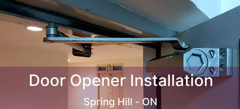  Door Opener Installation Spring Hill - ON