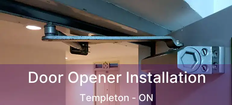  Door Opener Installation Templeton - ON